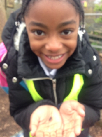 Pizza making, seed sowing and pond dipping@ Windmill Hill City Farm